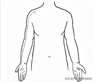 秋冬之交，凉燥袭来！按摩穴位、拍拍经络，宣肺气、防疾病