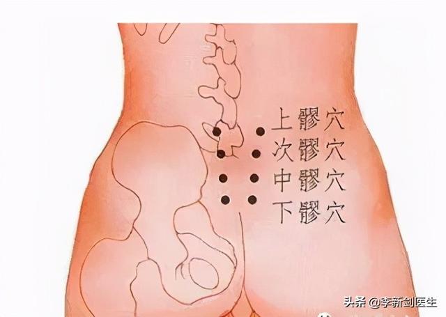 学一穴之八髎穴