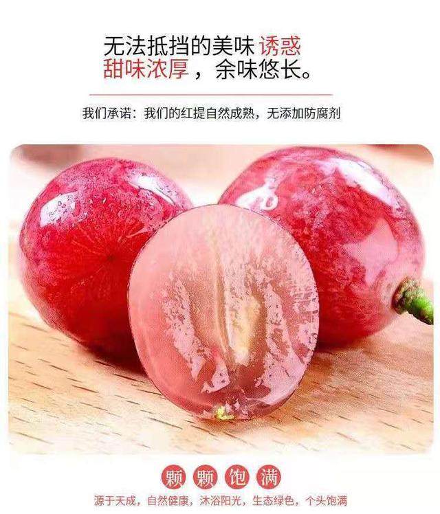 陕西红提葡萄