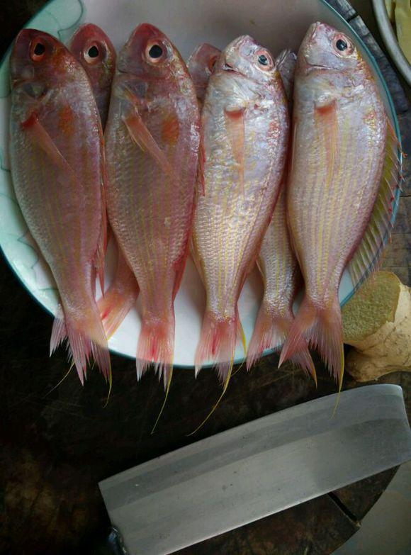 这5种鱼尽量少吃，或含脏东西，不妨来看一下