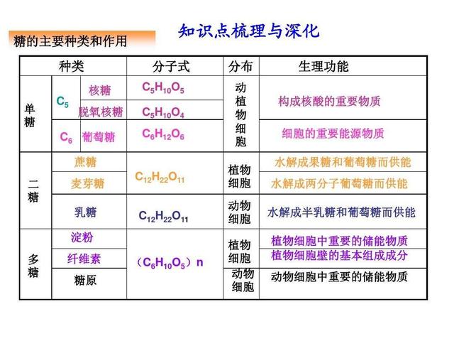 中科院新技术 二氧化碳变淀粉 中国人或再一次改变世界 太阳信息网