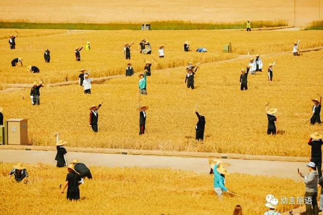 让美育走进家庭之手指印画—小麦