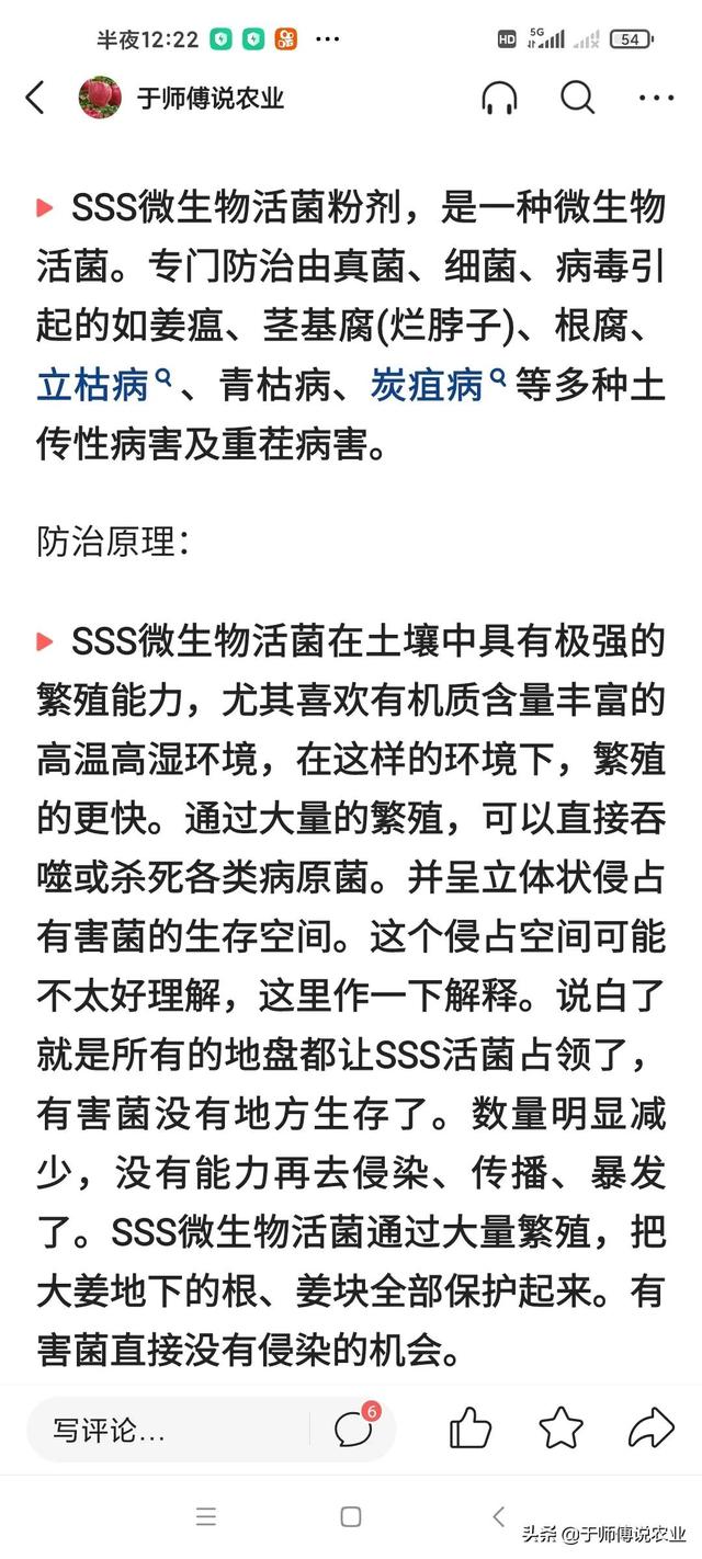 关于今年大姜死苗、烂根、长势弱、出苗晚的有效解决方案3