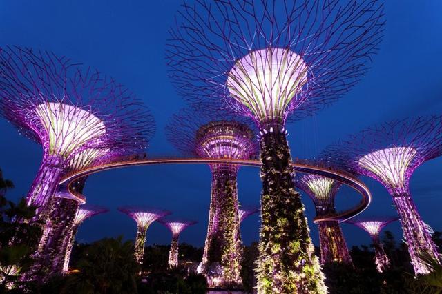 新加坡旅游攻略多少钱(去一趟新加坡多少钱)