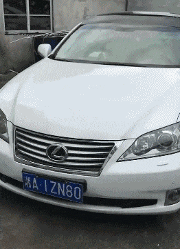 有趣的动态图GIF：谁能告诉我，这是只什么狗？
