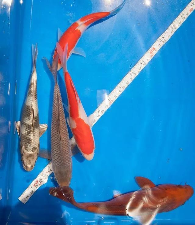 过滤机喷嘴