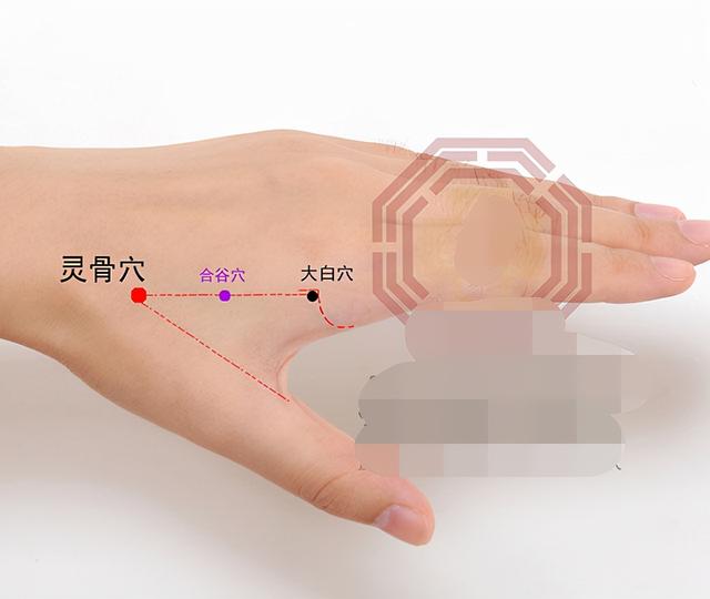 中医针灸颈部疾病处方1