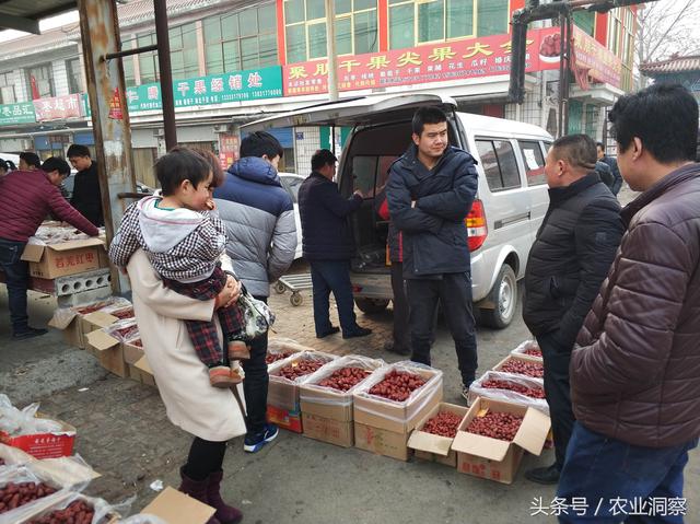 中国最大的红枣交易中心，原来就在这个农村小镇上！价格很便宜！