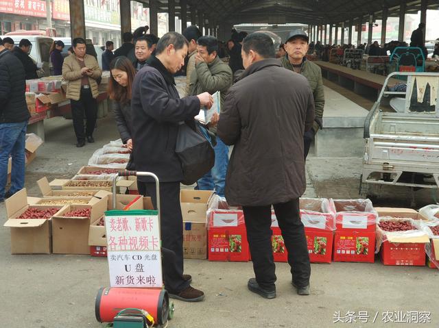 中国最大的红枣交易中心，原来就在这个农村小镇上！价格很便宜！2