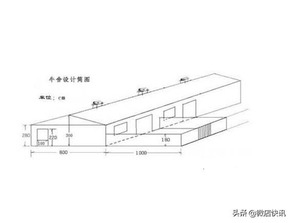 单列牛舍建造图尺寸图片