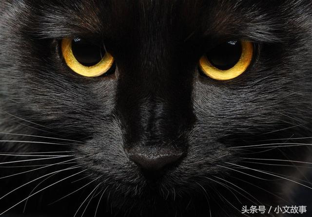 经常感觉冷起鸡皮疙瘩是身上有仙家吗