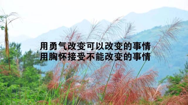 早安心语正能量190108：真正安全感来源于自己每天都在以某种方式进步