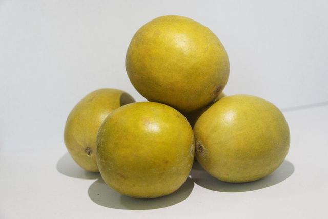 常吃长寿果清血解毒防癌抗衰老