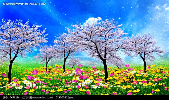 樱花的花语是什么