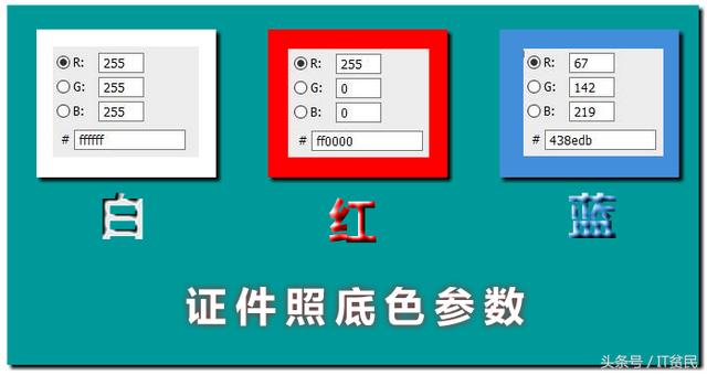 一寸照片比例