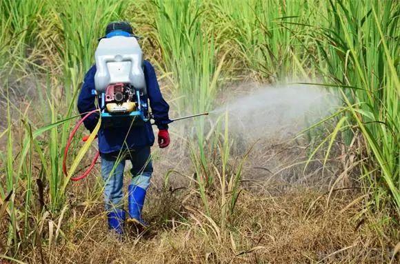 14种除草剂介绍，看完不出药害！