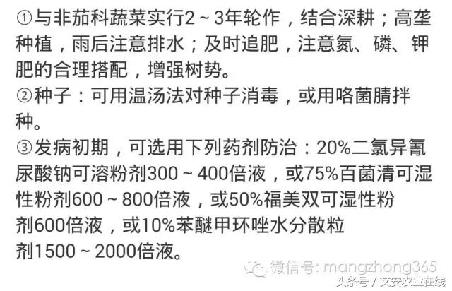 辣椒19种病害图谱及防治方法33