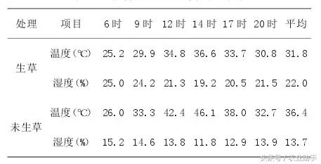 果农注意了！预防葡萄日灼、气灼方法！6