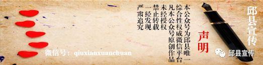 油渣分离过滤机
