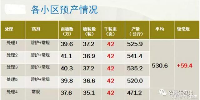 碧护生态综合技术小麦健株抗逆减量控害现场观摩暨技术交流会10