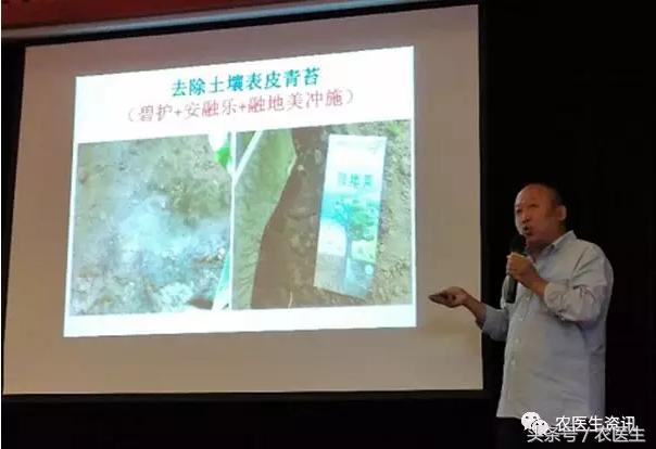 碧护生态综合技术小麦健株抗逆减量控害现场观摩暨技术交流会14