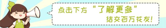 幸福树怎么养 幸福树怎么养（幸福树怎么养家庭养法） 生活