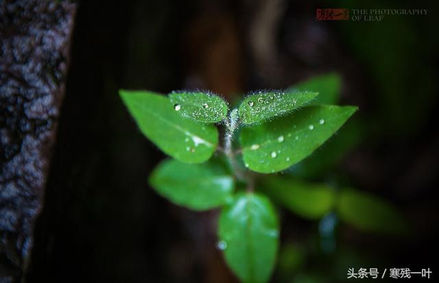 钱塘潮的形成 钱塘潮的形成（钱塘潮的形成阅读答案） 生活