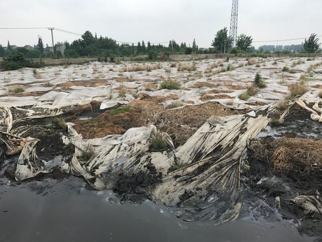 泰州特种压滤机厂