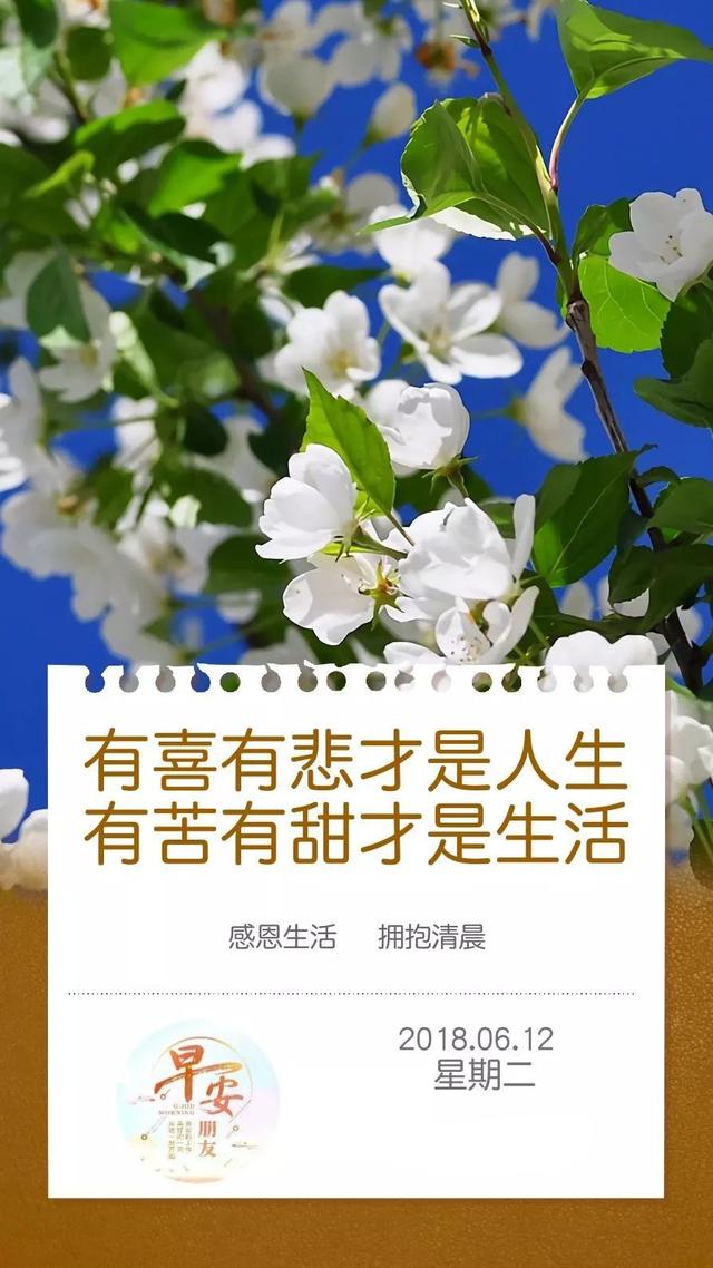 早安励志日签180612：对明天最好的准备就是今天做到最好