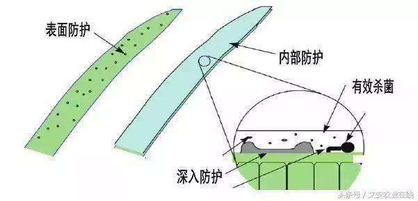 19种常见保护性杀菌剂介绍及使用方法，用过10种才算行家2