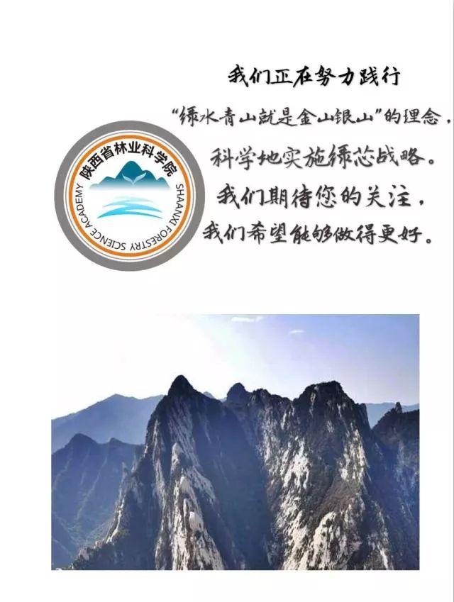 洛阳卓美洗砂机