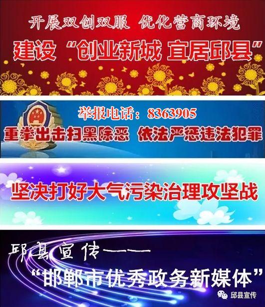 油渣分离过滤机
