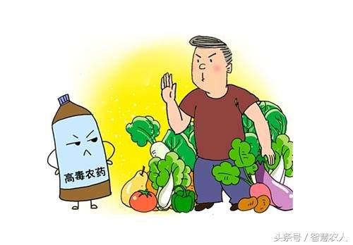 农药稀释到底怎么算？农资店老板简单一招，轻松解决农民烦恼3