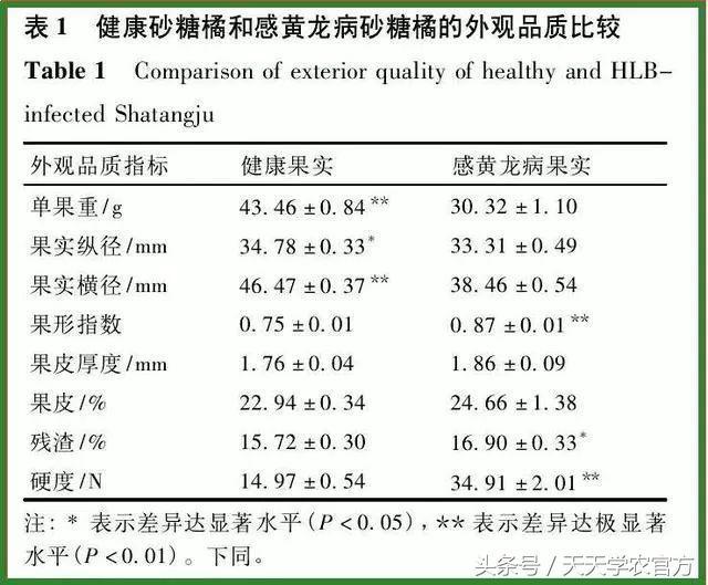 一株柑橘染病，四年毁园！染上黄龙病之后，柑橘树只能砍掉？3