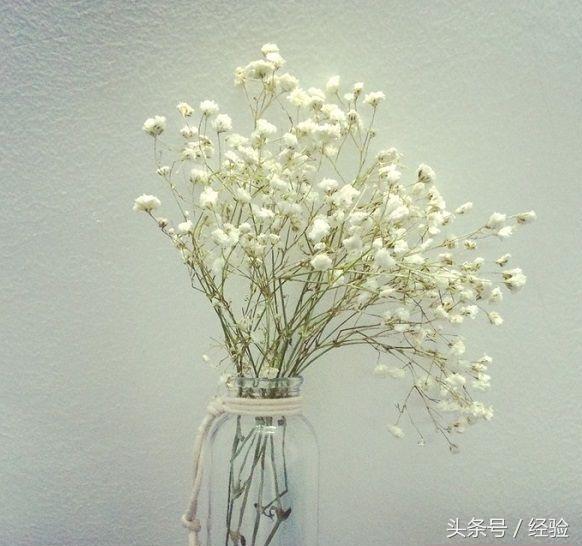 宜春珍珠岩制砂机