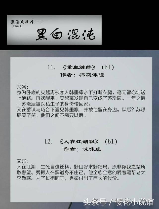 关于黑社会的小说