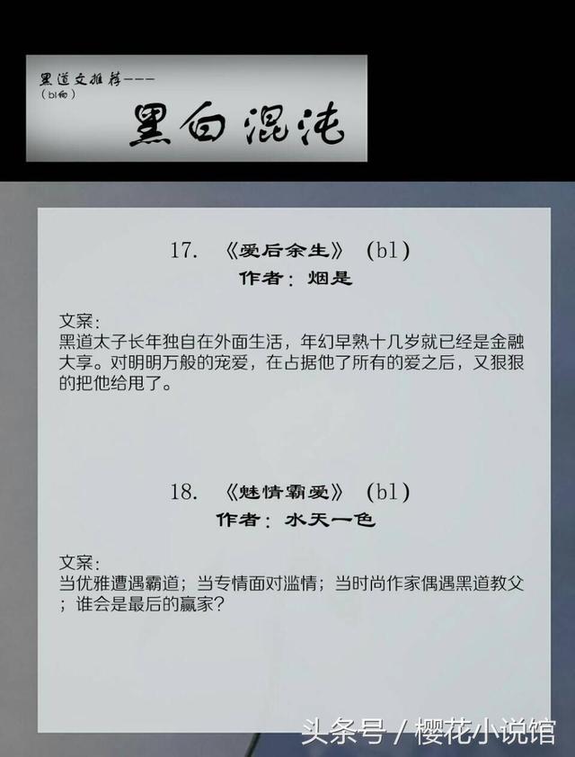 关于黑社会的小说