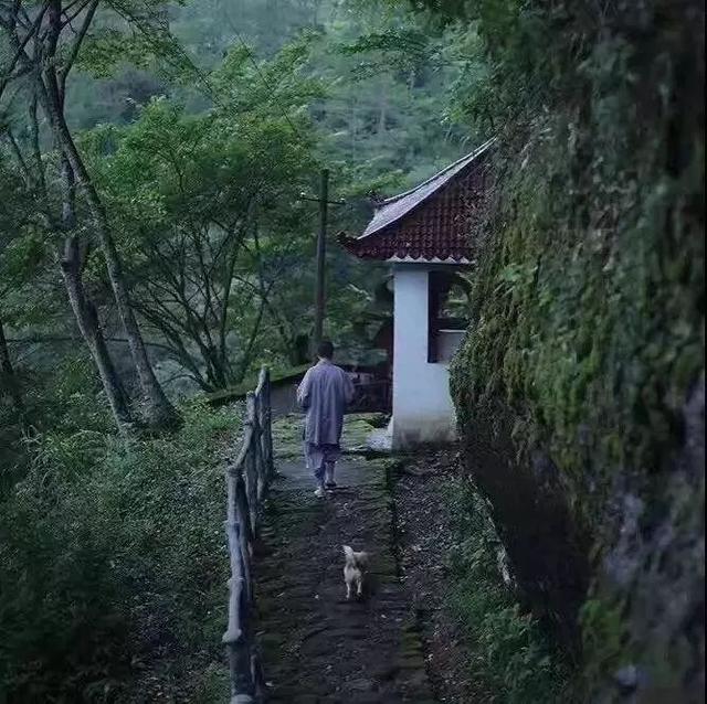 午安心语180804：人高在忍，人贵在善，人杰在悟