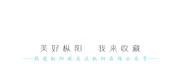 关于陶瓷过滤机tt8的信息