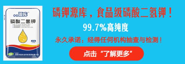 水稻上使用有什么进口农药？推荐几个著名品种！4