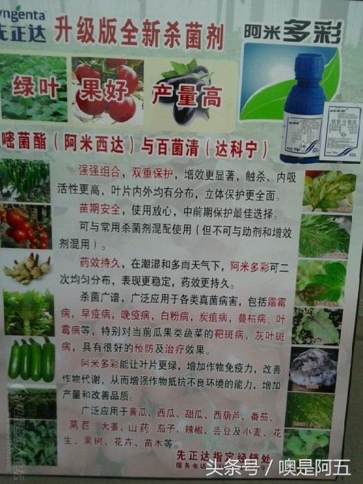 能绿叶的保护性杀菌剂，作物霜霉疫病早用早轻松，效果杠杠5