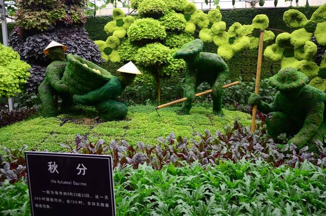 潍坊挖斗洗砂机
