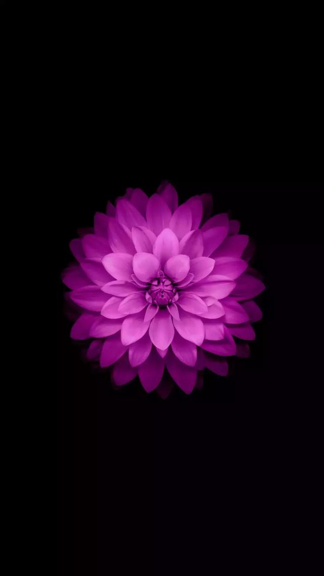 ios最强nba分身怎么样-苹果4s超好看的壁纸-站库网