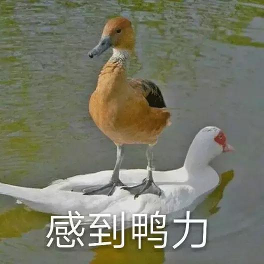 黄石移动石头制砂机哪家好