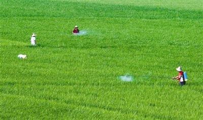 阿维菌素的作用、特点和使用要点