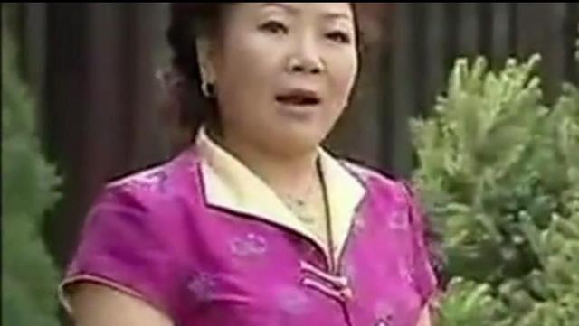 杨红梅木偶戏斩黄袍全本（杨红梅木偶戏斩黄袍全本戏大全）