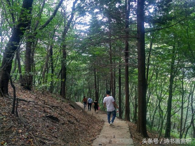 信阳鸡公山游记