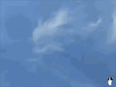 飞机上拍到真龙图片，云南大理的天空上，有人拍到祥云，活似“神龙”