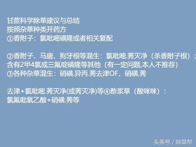 甘蔗田杂草的科学防控18