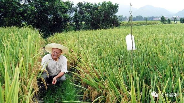 「关注」勤廉榜样人物——罗标1